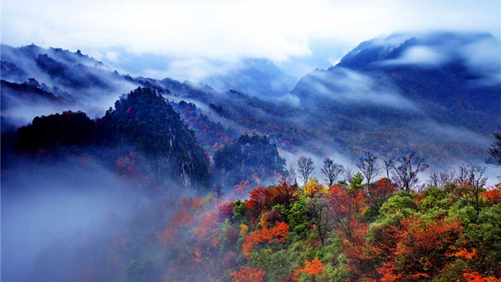 光霧山紅葉.jpg